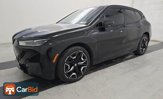 2024 BMW IX XDRIVE50, фото 1