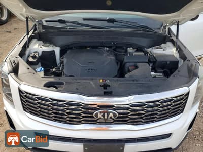 2020 KIA TELLURIDE EX, фото 12