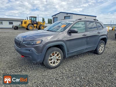 2020 JEEP CHEROKEE TRAILHAWK, фото 1