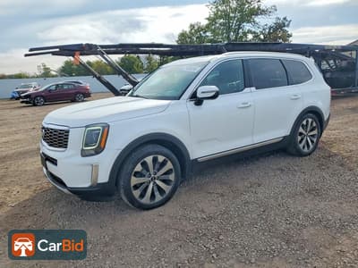 2020 KIA TELLURIDE EX, фото 1