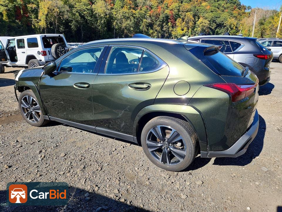 2025 LEXUS UX 300H PREMIUM, фото 2
