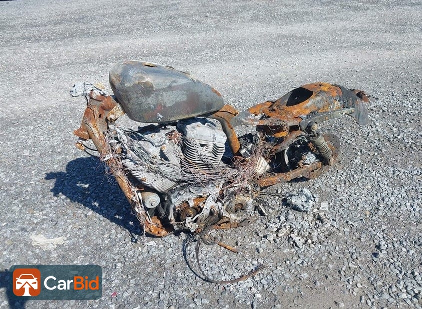 2009 HARLEY-DAVIDSON XL883 L, photo 2