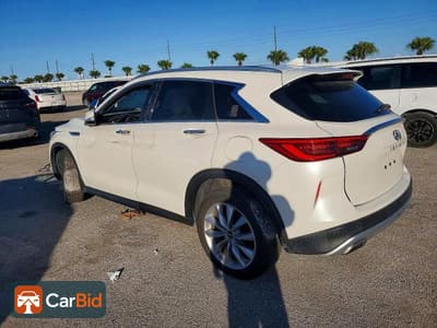 2020 INFINITI QX50 LUXE, фото 2