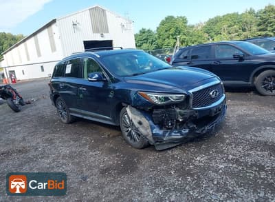2020 INFINITI QX60 LUXE AWD, фото 1
