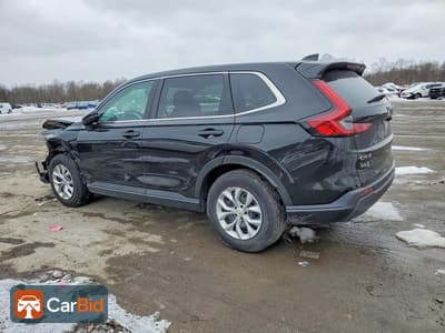 2025 HONDA CR-V LX, фото 2