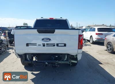 2024 Ford F-150 1FTEW2KP7RKF49819, фото 17