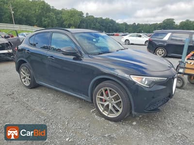 2018 Alfa Romeo STELVIO ZASFAKNNXJ7B90591, фото 4