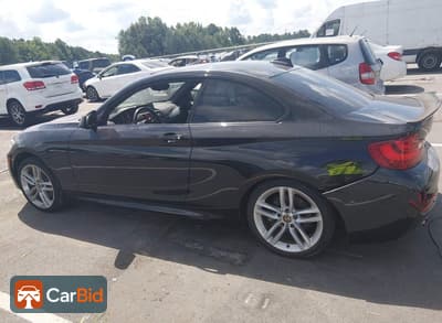 2015 BMW 228I WBA1F7C54FVX95940, фото 14