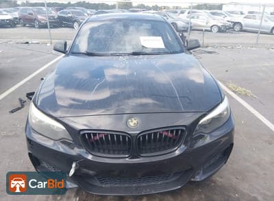 2015 BMW 228I WBA1F7C54FVX95940, фото 12