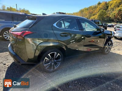 2025 LEXUS UX 300H PREMIUM, фото 3