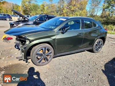 2025 LEXUS UX 300H PREMIUM‌, фото 1