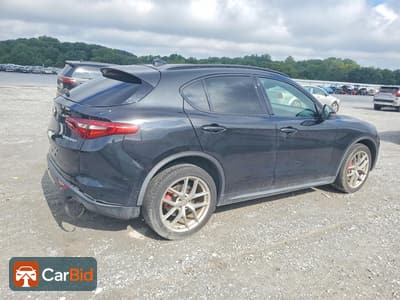 2018 Alfa Romeo STELVIO ZASFAKNNXJ7B90591, фото 3