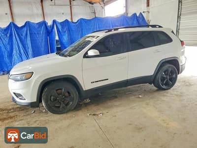 2019 Jeep CHEROKEE 1C4PJLLN1KD286327, фото 1