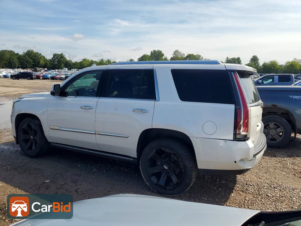 2018 CADILLAC ESCALADE PLATINUM, фото 2