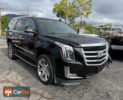 2020 CADILLAC ESCALADE PREMIUM LUXURY‌, фото 1