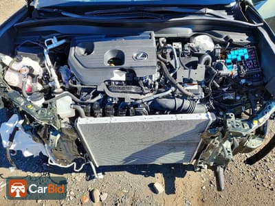 2025 LEXUS UX 300H PREMIUM, фото 12