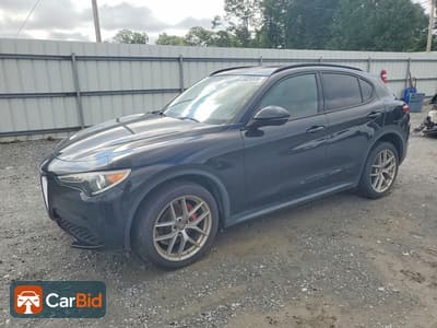 2018 Alfa Romeo STELVIO ZASFAKNNXJ7B90591, фото 1