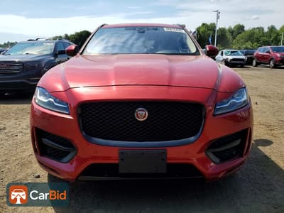 2017 JAGUAR F-PACE R - SPORT, фото 5