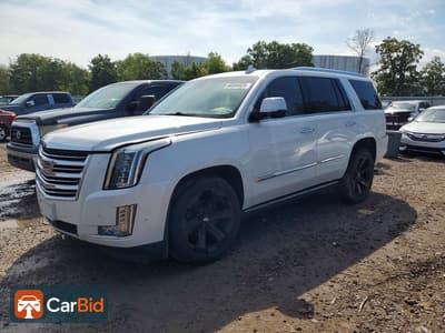 2018 CADILLAC ESCALADE PLATINUM‌, фото 1