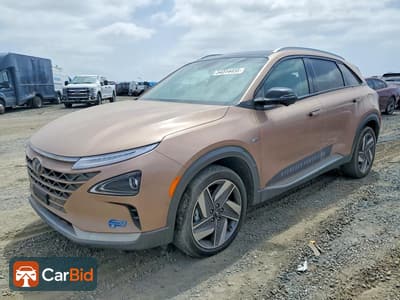 2021 HYUNDAI NEXO LIMITED​, фото 1
