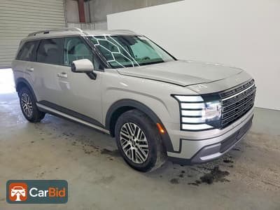 2026 Hyundai PALISADE KM8RL5S29TU064413, фото 4
