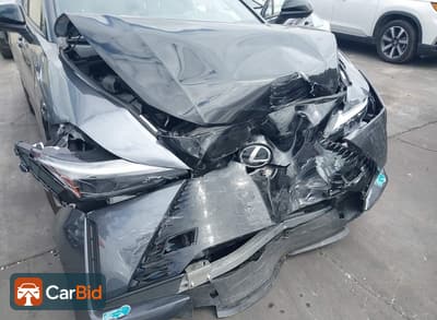 2025 Lexus RZ 300E JTJABABB7SA009226, фото 6