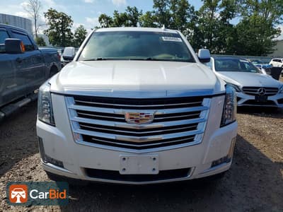 2018 CADILLAC ESCALADE PLATINUM, фото 5