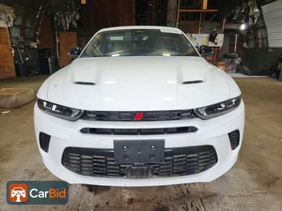 2024 DODGE HORNET R/T, фото 5