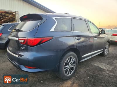 2018 INFINITI QX60 BASE, фото 3