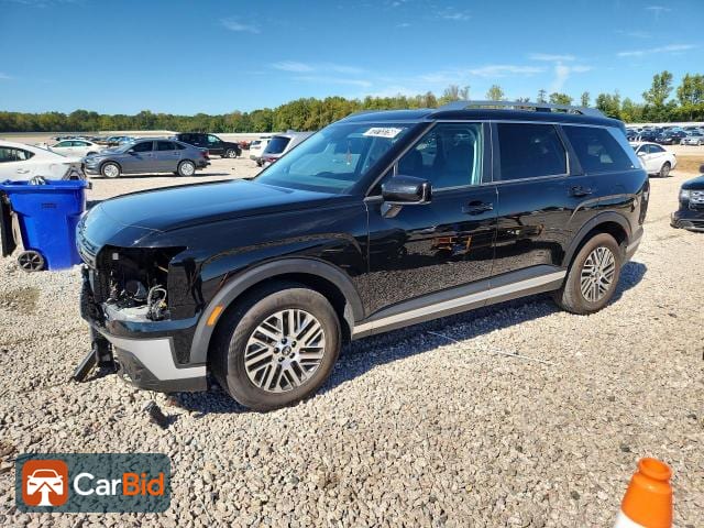 2026 HYUNDAI PALISADE SEL, фото 1