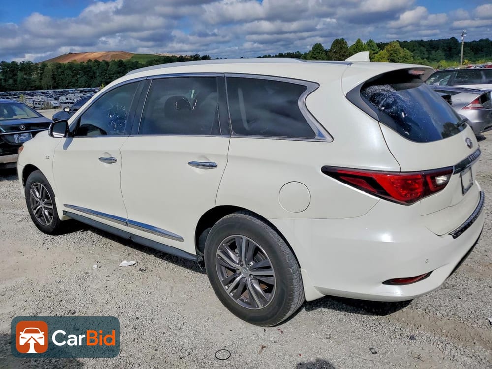 2019 Infiniti QX60 5N1DL0MN3KC525971, фото 2
