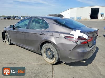 2023 TOYOTA CAMRY LE, фото 2