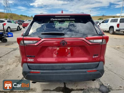 2025 TOYOTA RAV4 HYBRID XLE, фото 6