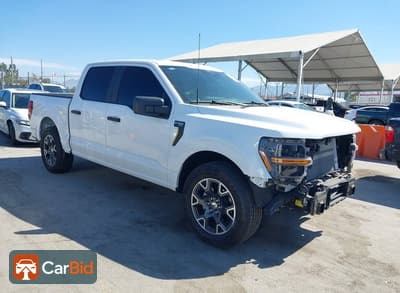 2024 Ford F-150 1FTEW2KP7RKF49819, фото 1