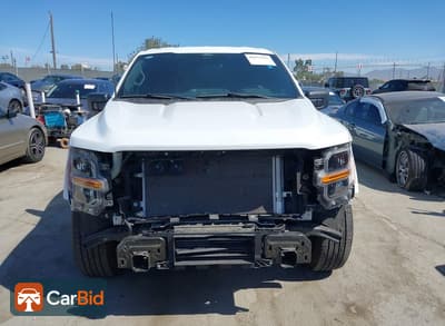 2024 Ford F-150 1FTEW2KP7RKF49819, фото 13