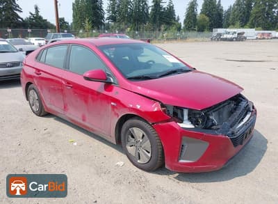 2019 Hyundai IONIQ HYBRID KMHC65LCXKU174289, фото 1