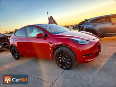 2023 TESLA MODEL Y, фото 4