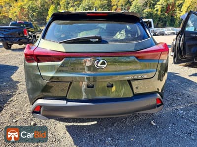 2025 LEXUS UX 300H PREMIUM, фото 6
