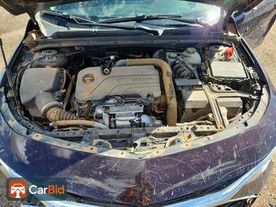 2021 Chevrolet MALIBU 1G1ZG5ST5MF039427, фото 11