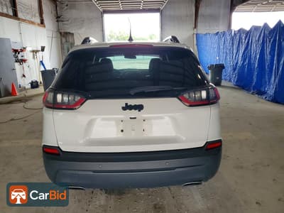 2019 Jeep CHEROKEE 1C4PJLLN1KD286327, фото 6
