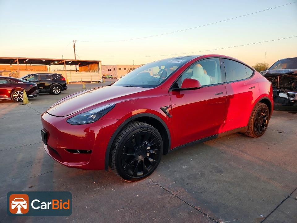 2023 TESLA MODEL Y, фото 1