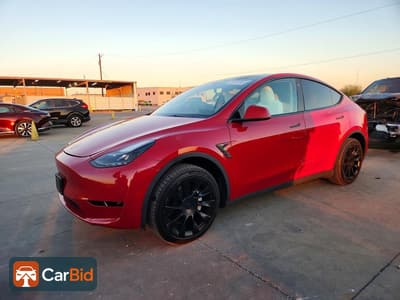 2023 TESLA MODEL Y‌, фото 1