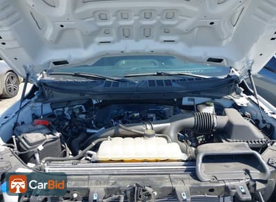 2024 Ford F-150 1FTEW2KP7RKF49819, фото 10