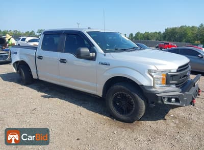 2019 Ford F-150 1FTEW1E57KKF07726, фото 1