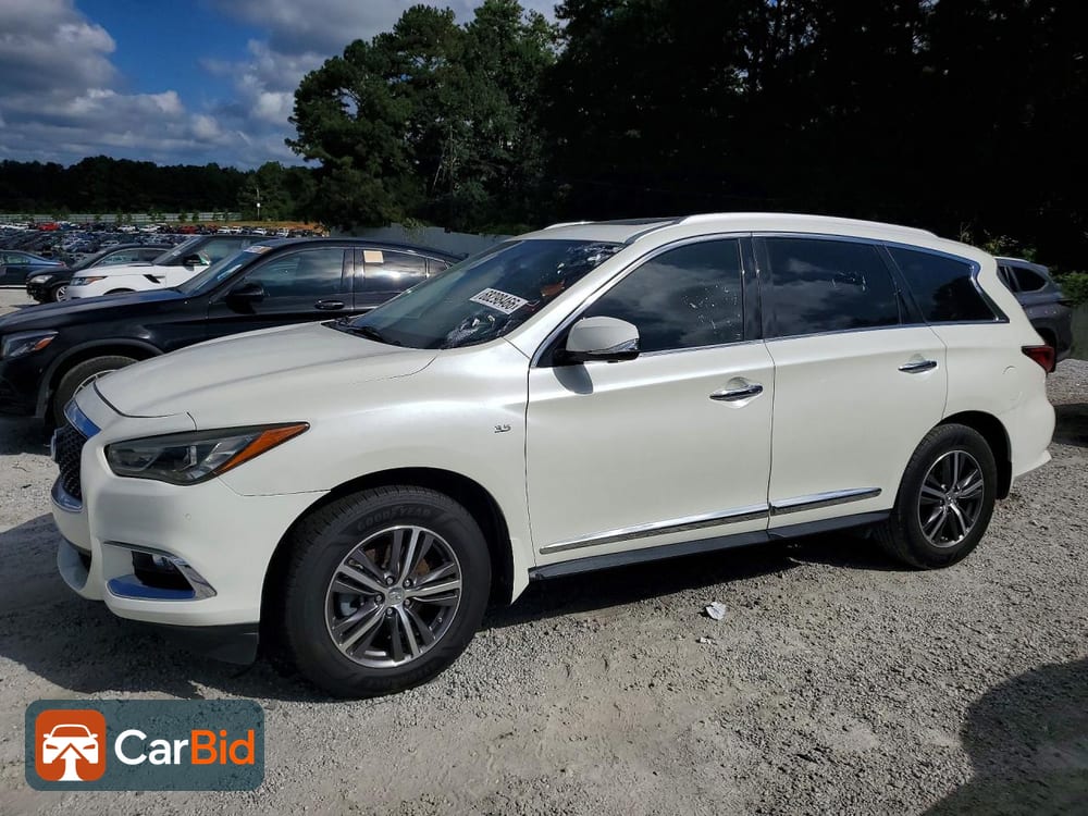2019 Infiniti QX60 5N1DL0MN3KC525971, фото 1