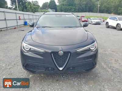 2018 Alfa Romeo STELVIO ZASFAKNNXJ7B90591, фото 5